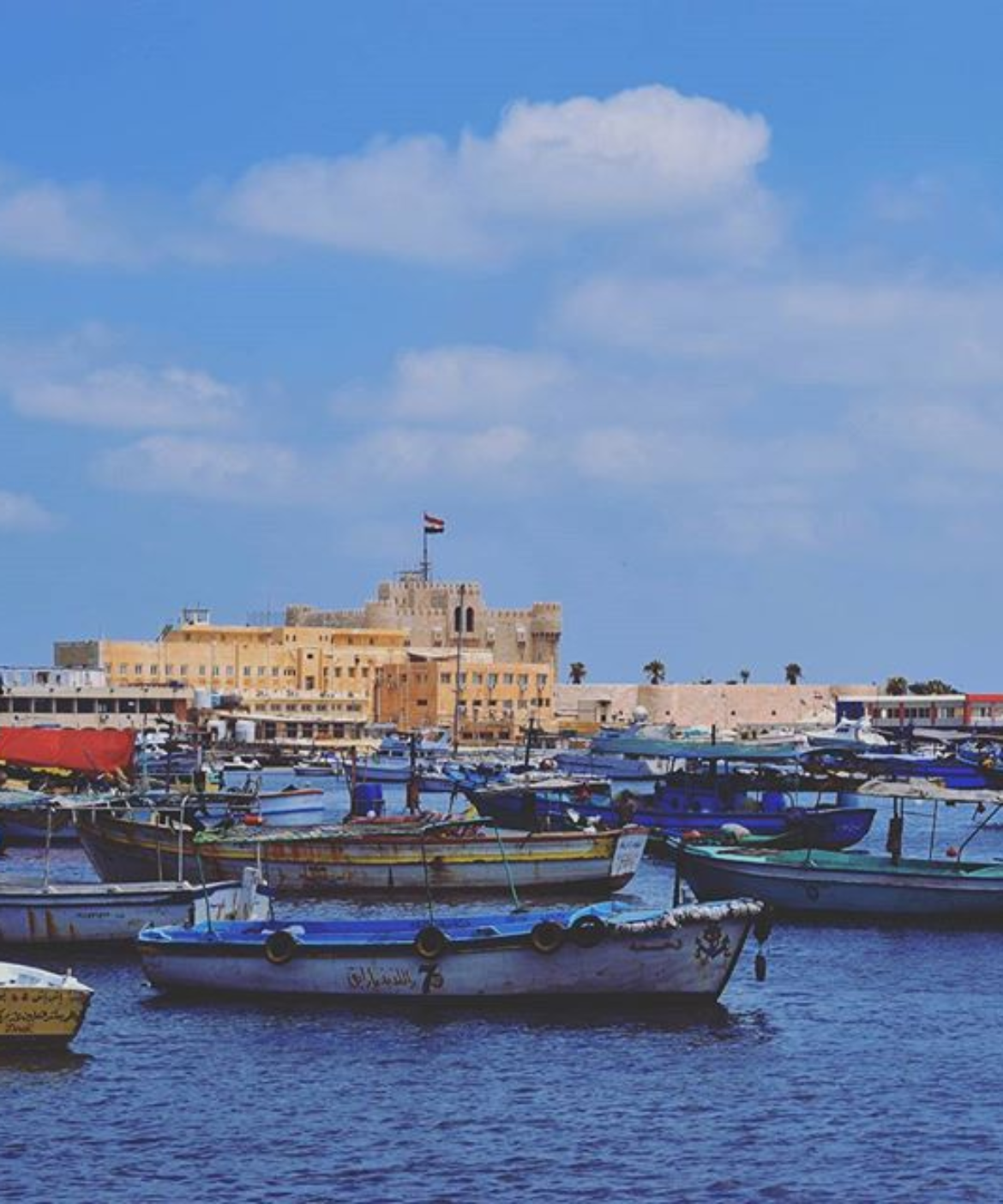 Celebrating World Photography Day with Amr Essam